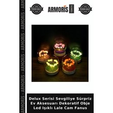 Armoris Delux Serisi Sevgiliye Sürpriz Ev Aksesuarı Dekoratif Obje LED Işıklı Lale Cam Fanus