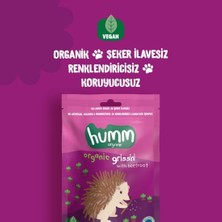 Bezos Organik Vegan Pancarlı Grissini 55 gr BZS10