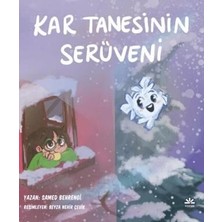 TeknoKapsül Kar Tanesinin Serüveni