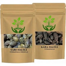 Tan Organik Markalı - Karahalile Sarıhalile Set 100ER gr