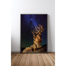 Keyf Home Bristlecone Pine Siyah Çerçeveli Mdf Tablo Poster Salon Duvar Dekoru Hediye