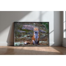 Keyf Home Fox Zen - Algonquin Park Siyah Çerçeveli Mdf Tablo Poster Salon Duvar Dekoru Hediye