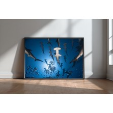 Keyf Home Hammerhead Shark Siyah Çerçeveli Mdf Tablo Poster Salon Duvar Dekoru Hediye