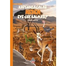 TeknoKapsül Kaplumbağalar Neden Eve Geç Kalmaz?