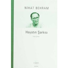 TeknoKapsül Hayatın Şarkısı Toplu Şiirler