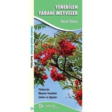 TeknoKapsül Yenebilen Yabani Meyveler