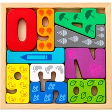 Nilberry Ahşap Eğitici Puzzle Yapboz Seti Montessori Şekil Eşleştirme ve Yerleştirme Oyuncağı