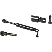 Renault Megane 1996-2003 Bagaj Amortisoru 300MM 420N 7700838487 Nextpart