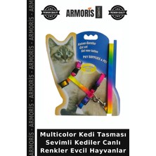 Armoris Multicolor Kedi Tasması Sevimli Kediler Canlı Renkler Evcil Hayvanlar