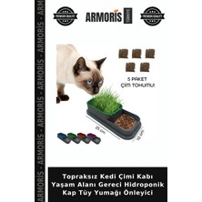 Armoris Topraksız Kedi Çimi Kabı Yaşam Alanı Gereci Hidroponik Kap Tüy Yumağı Önleyici