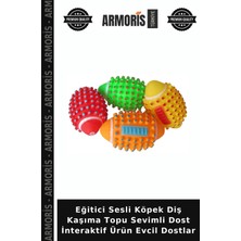 Armoris Eğitici Sesli Köpek Diş Kaşıma Topu Sevimli Dost Interaktif Ürün Evcil Dostlar