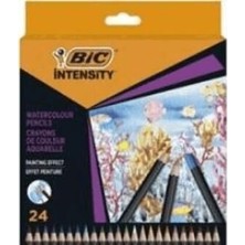TeknoKapsül Bic Intensity Aquacouleur Kuru Sulu Boya 24 Renk