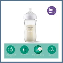 Bezos Doğal Tepkili Natural Response Cam Biberon 240 ml 1+ Ay Bbz