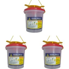 Royal Rain Store 3 Adet Sintut Kova | Karasinek Tuzağı
