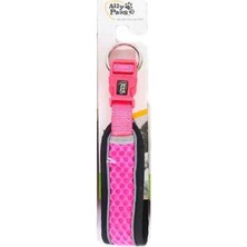 Hilera Ally Paws Dog Collar Köpek Boyun Tasması Medium 2CMX35-50CM