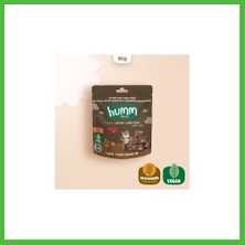 Bezos Organik Fındıklı Kakaolu Vegan Kek 30 gr Arz