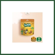 Bezos Organik Glutensiz Vegan Muzlu Kek 30 gr Bzst