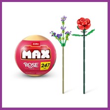 Bezos Max Gül Sürprizi Atg