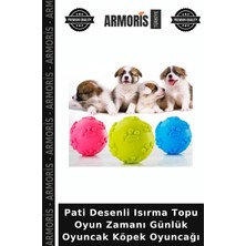 Armoris Pati Desenli Isırma Topu Oyun Zamanı Günlük Oyuncak Köpek Oyuncağı