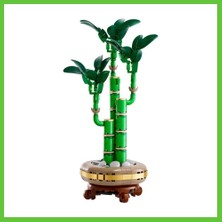 Bezos Botanicals Şans Bambusu 10344 Dmc