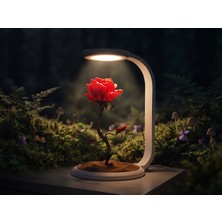 OEM Gül Konsept Gece Lambası LED Masa Lambası Atmosfer Aydınlatma Abajur Romantik Atmosfer Işıklı LED Dahil 5V USB Giriş