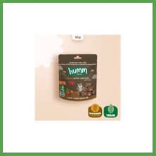 Bezos Organik Fındıklı Kakaolu Vegan Kek 30 gr Mgc