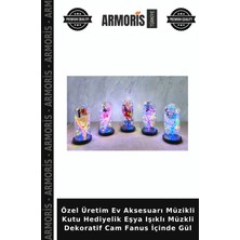 Armoris Özel Üretim Ev Aksesuarı Müzikli Kutu Hediyelik Eşya Işıklı Müzkli Dekoratif Cam Fanus Içinde Gül