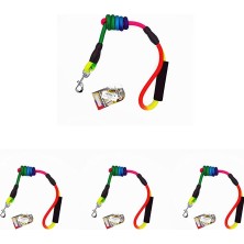 Royal Rain Store Köpek Uzatma Gökkuşağı 14MMX120CM