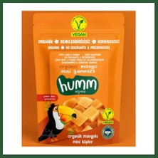 Bezos Organik Glutensiz Vegan Mangolu Mini Küpler 30 gr Bzst