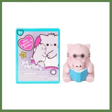 Bezos Pembe Kedi Sürpriz Paket Adet Fiyatı HB006