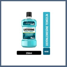 Bezos Coolmint 250ML 1 Adet BZS10