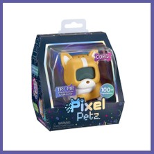 Nida 540298 - Corgi Yeni Nesil Bir Evcil Dijital Hayvan Nıda