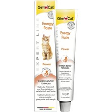 OEM Gimcat Energy Kedi Macunu 50GR