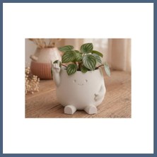 Bezos 3D Baskı Smiley Face Planter - Gülümseyen Karakterli Saksı-Beyaz BZS10