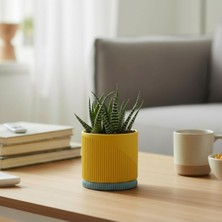 OEM Modern Tasarım Dekoratif Saksı - Pastel Serisi Sarı