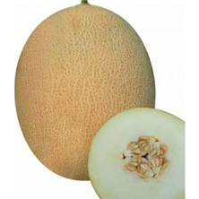 OEM Ananas Kavun Tohumu 30 Adet Tohum Bal Kavun
