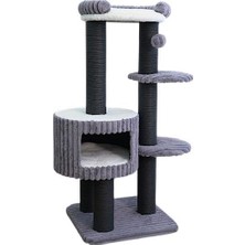 Ed Collection Cosmo Kedi Tırmalama 68X68X119CM