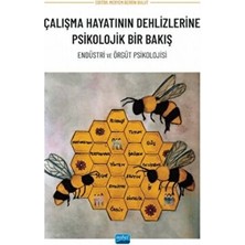 TeknoKapsül Çalışma Hayatının Dehlizlerine Psikolojik Bir Bakış - Endüstri ve Örgüt Psikolojisi