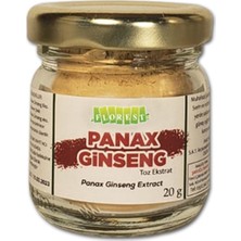 Saf Ginseng Toz Ekstrakt 20 Gr. Panax Ginseng Extract