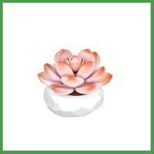 Soi Home P655058 Monroe Sukulent Model 86 Parça Block Oyuncak Soı
