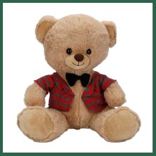 Vintessy Vıntessy 4810 Peluş Ayı Elbiseli 32CM 2A BZS01