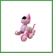 Soi Home Kedi 6602 Kumandalı Robot Kedi Soı