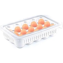 Odea 15LI Yumurta Saklama Kabı