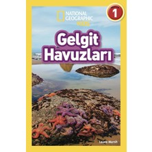 Beta Kids Gelgit Havuzları