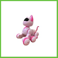 Bezos Kedi 6602 Kumandalı Robot Kedi Dmc