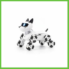 Bezos SH59964 2.4g Uzak.kum.akrobatik Kedi Köpek Dmc