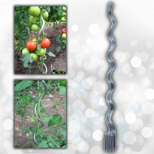 Aktepe Group 20 Adet 150 cm Metal Spiral Bitki Destek Çubuğu Hobi Bahçesi Bitki Bağlama Teli Sebze D