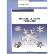 TeknoKapsül Endüstri ve Örgüt Psikolojisi