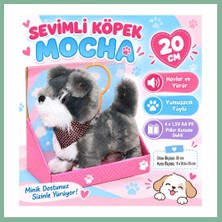 Bşk Virgo 2859 Sevimli Köpek Mocha BSK2026
