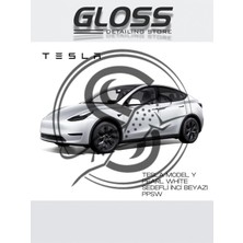 OEM Flea Market Tesla Model Y White Pearl Sedefli Beyaz Profesyonel Rötuş Boyası Çift Şişe 30/30ML, Tmy-Ppsw2